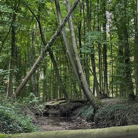 Hideaway - Auszeit Im Gruenen! Dülmen