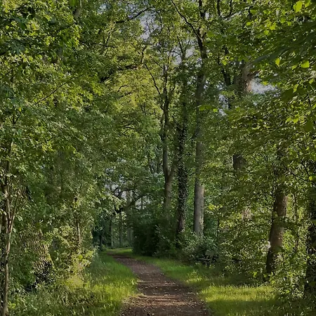 Appartamento Hideaway - Auszeit Im Gruenen! *