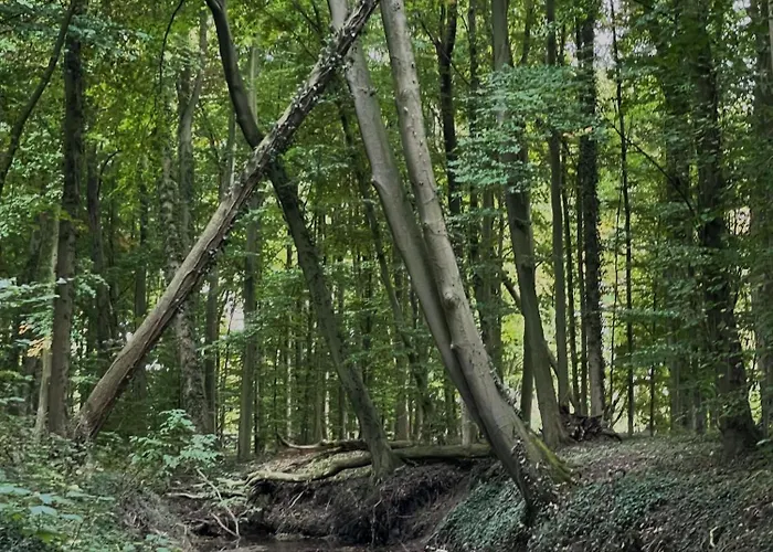 Hideaway - Auszeit Im Gruenen! Dülmen