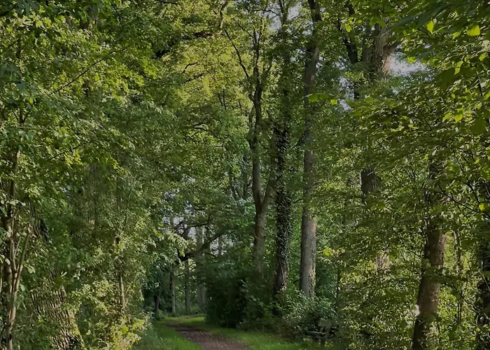 Appartement Hideaway - Auszeit Im Gruenen! *